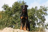 BEAUCERON 507